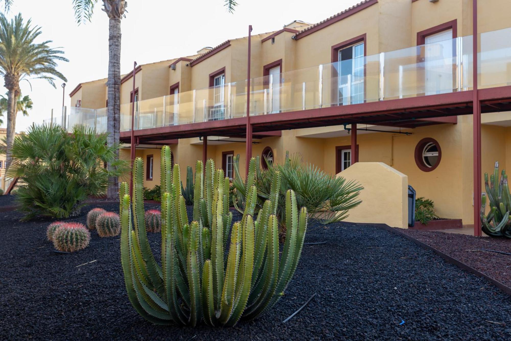 Apartamentos Maxorata Beach Corralejo Exterior foto